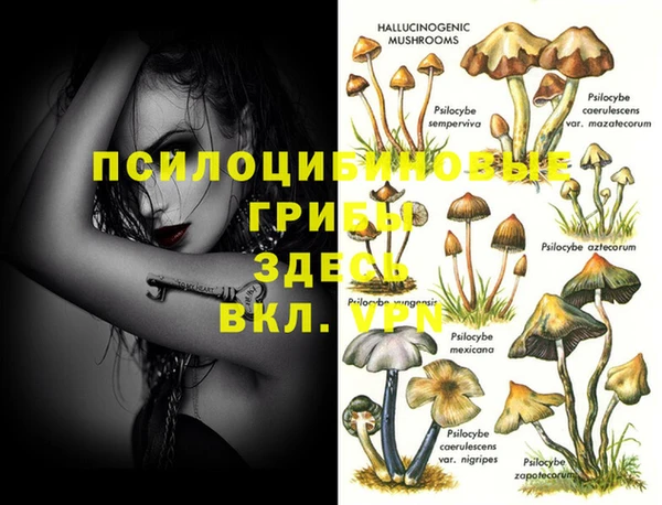 стафф Алексеевка