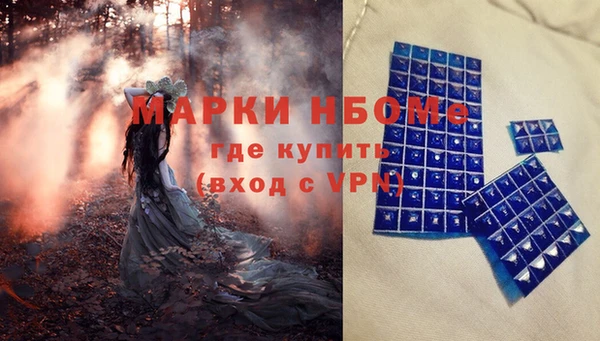 бошки Алексин