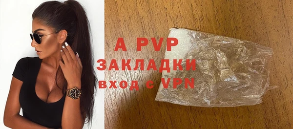 крисы Надым