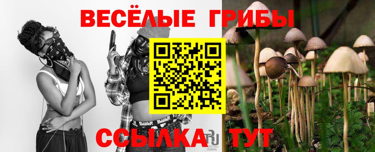 Галлюциногенные грибы Psilocybine cubensis Пермь